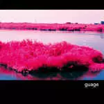 ORGANLANGUAGE / オーガンランゲージ / ORGANLANGUAGE EP3