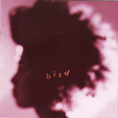 bird / bird
