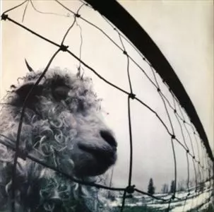 PEARL JAM / パール・ジャム / PEARL JAM(LP)