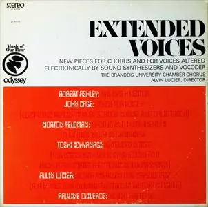 V.A.  / オムニバス / EXTENDED VOICES