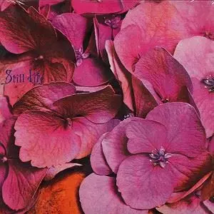 スティルライフ Amazon.co.jp: STILL LIFE スティル・ライフ（アメリカン