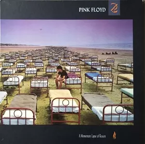 PINK FLOYD / ピンク・フロイド / A MOMENTARY LAPSE OF REASON