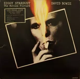 ZIGGY STARDUST THE MOTION PICTURE/DAVID BOWIE/デヴィッド