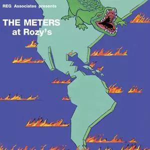 METERS / ミーターズ / AT ROZY'S