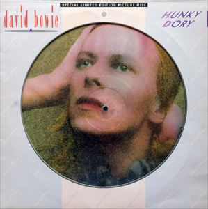 DAVID BOWIE / デヴィッド・ボウイ / HUNKY DORY(PICTURE)