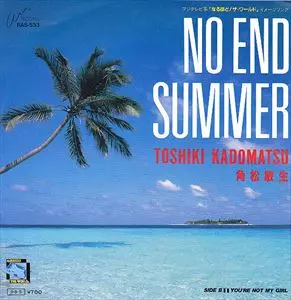 NO END SUMMER/TOSHIKI KADOMATSU/角松敏生｜日本のロック｜ディスク