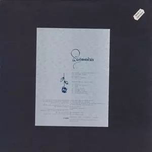 WISHMOUNTAIN   / WISHMOUNTAIN