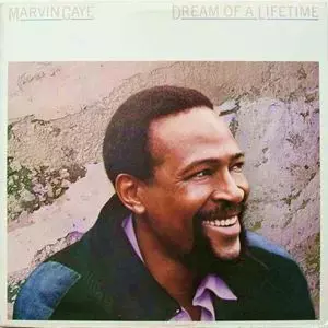 DREAM OF A LIFETIME/MARVIN GAYE/マーヴィン・ゲイ｜SOUL/BLUES