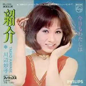 TAEKO KAWABE / 川辺妙子 / 紹介