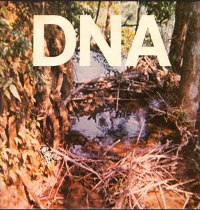 DNA / ディーエヌエー / TASTE OF