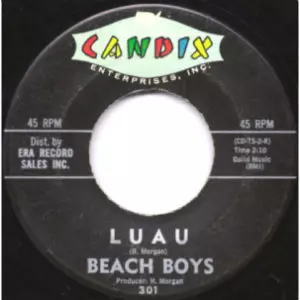 SURFIN / LUAU/BEACH BOYS/ビーチ・ボーイズ｜OLD ROCK｜ディスク