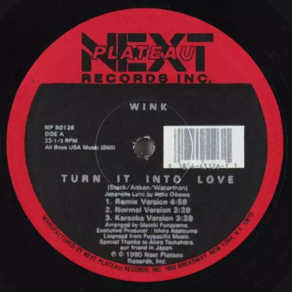 TURN IT INTO LOVE/WINK (JOSH WINK)｜日本のロック｜ディスクユニオン