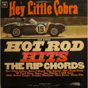 RIP CHORDS / リップ・コーズ / HEY LITTLE COBRA