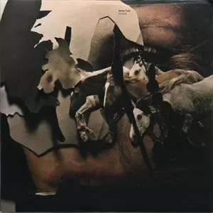 JENNY HVAL / ジェニー・ヴァル / VISCERA