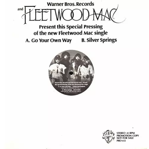 神ジャケ❗️名曲シングル『フリートウッド・マック/オウン・ウェイ』 Go Your Own Way / オウン・ウェイ（Fleetwood Mac / フリート