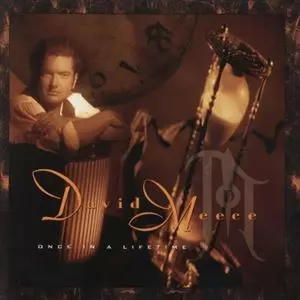 DAVID MEECE / ONCE IN A LIFETIME