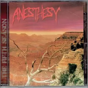 ANESTHESY商品一覧｜HARD ROCK / HEAVY METAL｜ディスクユニオン