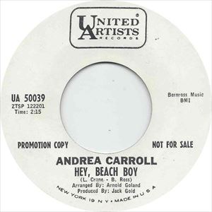 ANDREA CARROLL / アンドレア・キャロル / HEY, BEACH BOY
