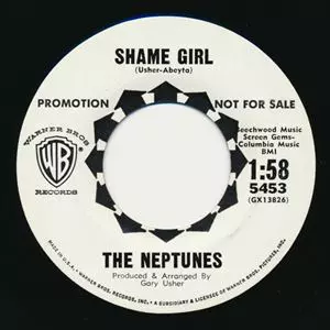 NEPTUNES / SHAME GIRL / I'VE GOT PLANS