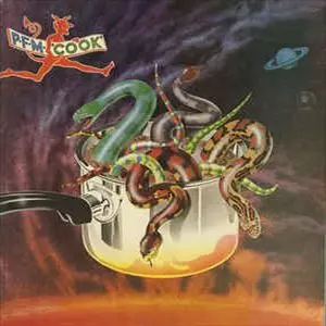 COOK/PFM/ピー・エフ・エム｜PROGRESSIVE ROCK｜ディスクユニオン