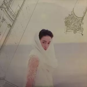 太陽のしっぽ/dip in the pool/ディップ・イン・ザ・プール｜日本の