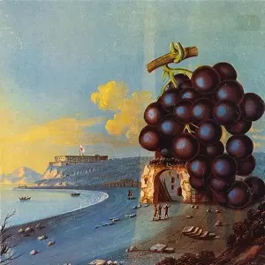 【米国原盤MONO!】MOBY GRAPE モノラル アナログ レコード WOW/MOBY GRAPE/モビー・グレープ｜OLD ROCK｜ディスクユニオン