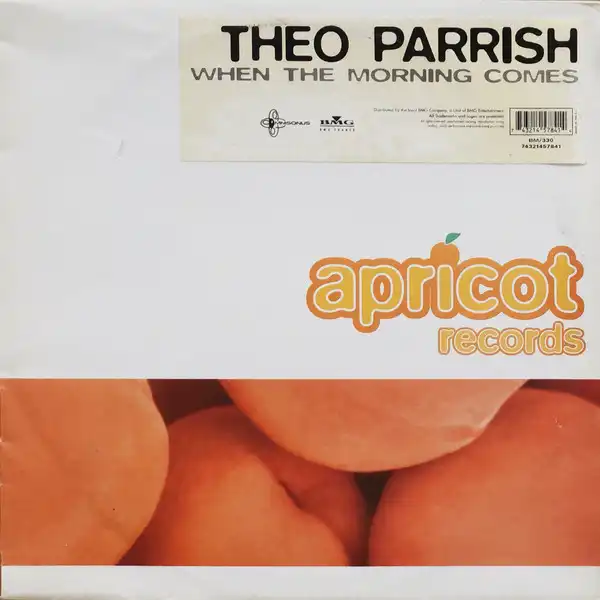 THEO PARRISH / セオ・パリッシュ / WHEN THE MORNING COMES