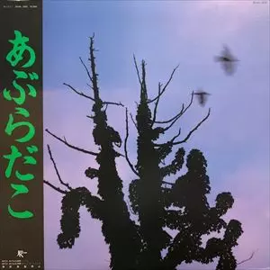 あぶらだこ/あぶらだこ｜日本のロック｜ディスクユニオン・オンライン
