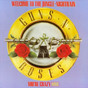 GUNS N' ROSES / ガンズ・アンド・ローゼズ / WELCOME TO THE JUNGLE
