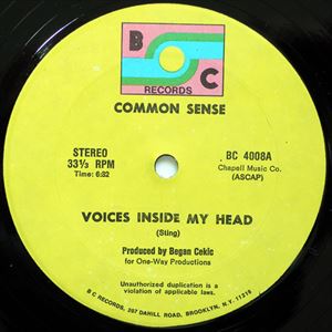 COMMON (COMMON SENSE) / コモン (コモン・センス) / VOICES INSIDE MY HEAD