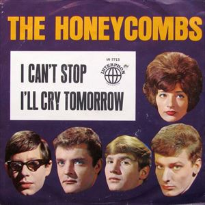 HONEYCOMBS / ハニーカムズ / I CAN'T STOP