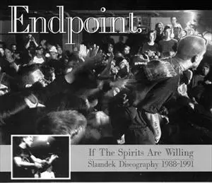 ENDPOINT in a time of hate 12インチレコード レア盤 1/6(土)PUNK廃盤アナログセール -通販サイト出品中- : diskunion
