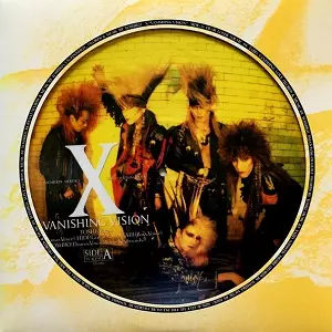 VANISHING VISION/X/エックス/PICTURE DISC｜日本のロック｜ディスク