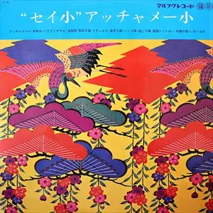 SEIJIN NOBORIKAWA / 登川誠仁 / セイ小''アッチャメー小