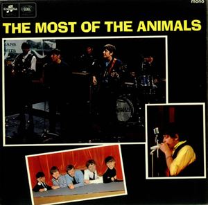 ANIMALS / アニマルズ / MOST OF THE ANIMALS