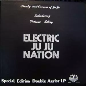 その他 ELECTRIC JU JU NATION ELECTRIC JUJU NATION / KEEP IT MOVING/PLUNKY & ONENESS OF JUJU