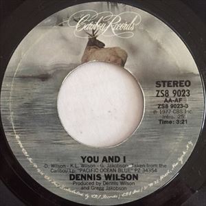 You And I Dennis Wilson デニス ウィルソン Old Rock ディスクユニオン オンラインショップ Diskunion Net