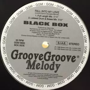 FALL INTO MY LOVE / NATIVE NEW YORKER/BLACK BOX/ブラックボックス