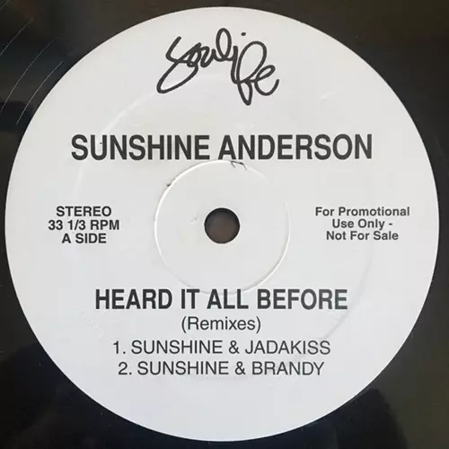 SUNSHINE ANDERSON - レコード 　アルバム 超美品 SUNSHINE ANDERSON - レコード アルバム 超美品