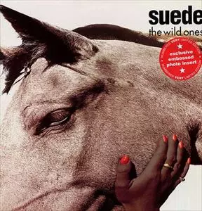 Brett Anderson 5CD+DVD Suede スウェード 新品未開封 WILD ONES/SUEDE/スウェード｜ROCK / POPS / INDIE｜ディスクユニオン