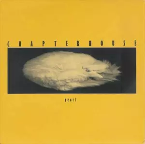 CHAPTERHOUSE / チャプターハウス / PEARL