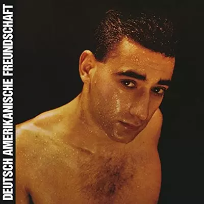DAF / ALLES IST GUT (LP) 