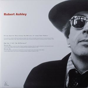 ROBERT ASHLEY / ロバート・アシュリー / STRING QUARTET DESCRIBING THE MOTIONS OF LARGE REAL BODIES / HOW CAN I TELL THE DIFFERENCE?