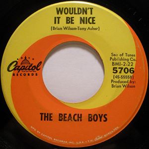 BEACH BOYS / ビーチ・ボーイズ / WOULDN'T IT BE NICE
