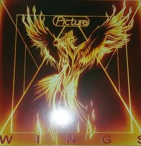 PICTURE / ピクチャー / WINGS