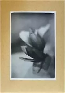 NAOKI ZUSHI / 頭士奈生樹 / FOR MY FRIENDS' SLEEP