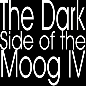 PETE NAMLOOK/KLAUS SCHULZE / ピート・ナムルック・アンド・クラウス・シュルツェ / DARK SIDE OF THE MOOG IV