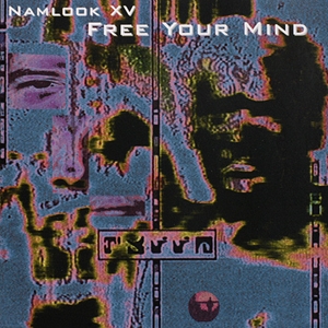 PETE NAMLOOK / ピート・ナムルック / NAMLOOK XV - FREE YOUR MIND 