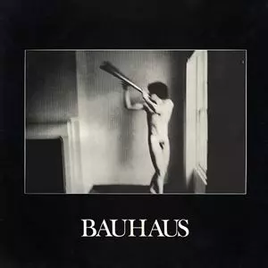 BAUHAUS / バウハウス / IN THE FLAT FIELD