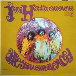 JIMI HENDRIX (JIMI HENDRIX EXPERIENCE) / ジミ・ヘンドリックス (ジミ・ヘンドリックス・エクスペリエンス) / ARE YOU EXPERIENCED